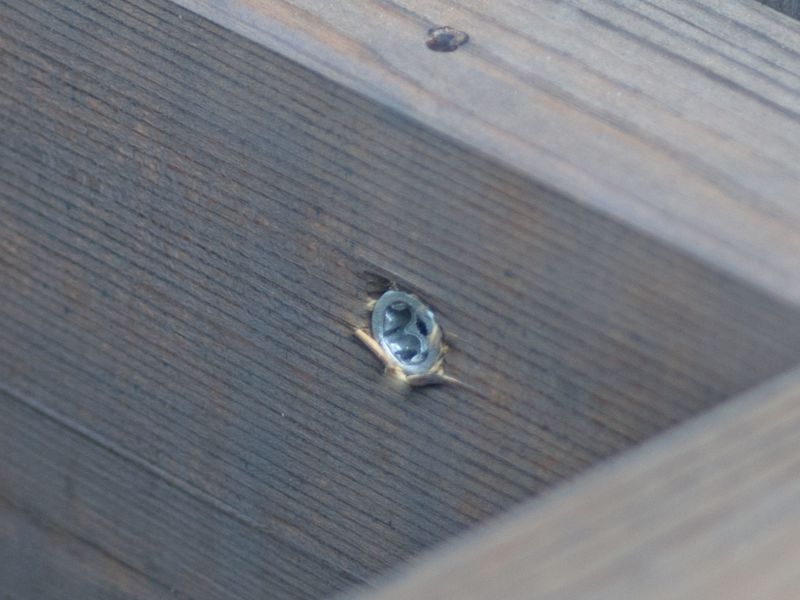 Bilde av Konstruksjonsskrue RPOC sylinderhode ttap